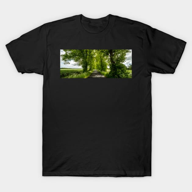 The Roman Road T-Shirt by davehudspeth